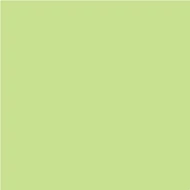 Pentart - Matt akril 50ml - LIMETTA