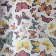 Decoupage papír (dekupázs) Tasotti 50*70cm - Lepkék