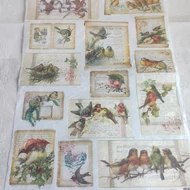 Rizspapír 33*48cm - Madaras kisképek