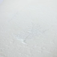 Merített papír préselt tuja levelekkel 50*70cm - FEHÉR