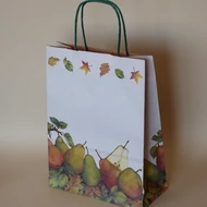 Papírtáska mintás 22*29cm*10cm talp - Őszi körtés