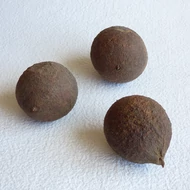 Termés: Gubacs kb. 5cm