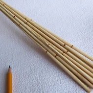 Termés: Növényi szár, gyűrűs pálca 12db*62cm