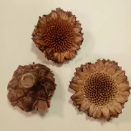 Termés "Mini napraforgó" Protea fás kemény 4-5cm - NATÚR 3db/csomag