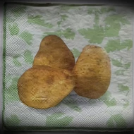 Dekor szalvéta 155 Burgonya