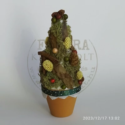 Karácsonyi dísz cserépben zuzmóval 19 cm